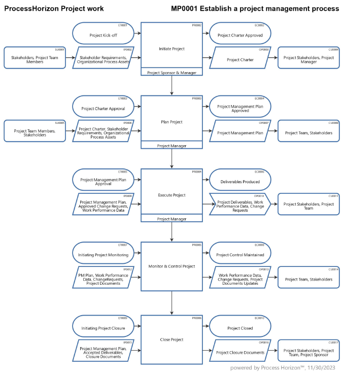 Establish a project management process