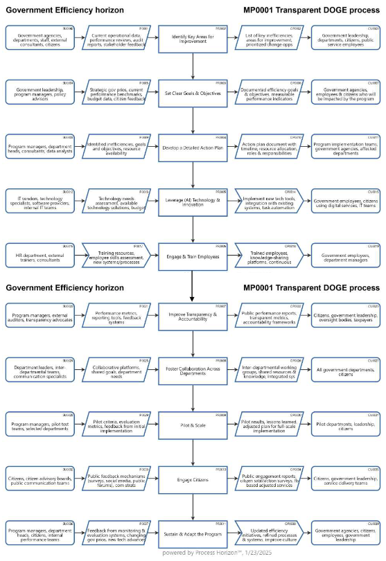 Transparent DOGE process for sustainable government efficiency