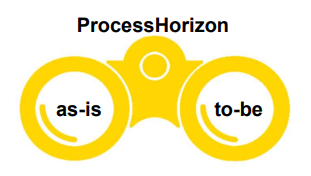 Two horizons process paradigm